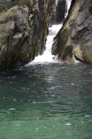 Una goia del rio lazin