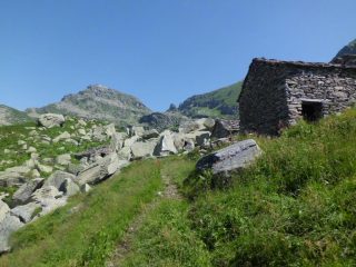 Sullo sfondo il Colle e P. Giardonera