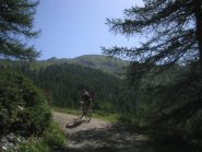 sullo sfondo i pendii del Morefreddo