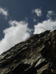 gran pelo al sig. Ellena