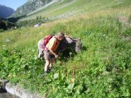 una compagnia inaspettata...