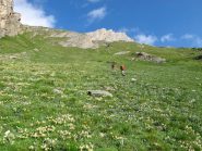 Il ripido pendio erboso sopra il pianoro del torrente Grande Eau