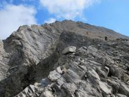 Un tratto di cresta nella parte sommitale