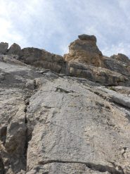 la placca finale di III