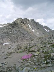 anticima roche chardonnet dal colle muande