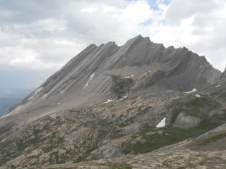 Taillante