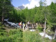 attraversamento del torrente prima del casotto P.N.G.P.