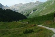salendo il tratto iniziale e pianeggiante della Val Fourane (7-8-2013)