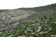 salendo tra erba e pietrame lungo il pendio NE (7-8-2013)