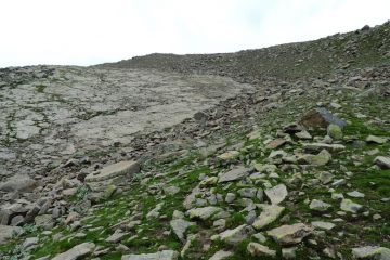 salendo tra erba e pietrame lungo il pendio NE (7-8-2013)