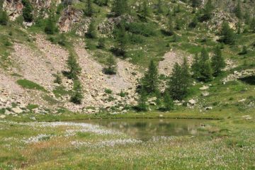 Il lago basso