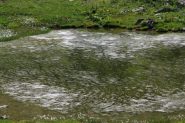 Il lago basso sul sentiero, giochi geometrici