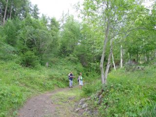 sul sentiero n. 5 largo e ben marcato....