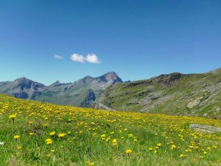 Nella Valle di Champoluc