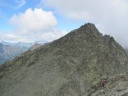 Punta Venezia dalla Cima