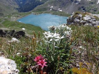 Nel traverso per Pian Ballotta