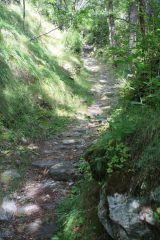 ...SE SI VUOLE SCENDERE IL SENTIERO DA LA MAGDALEINE ALLA FRAZIONE DI HERIN LO SI PUO' FARE TUTTO IN SELLA...