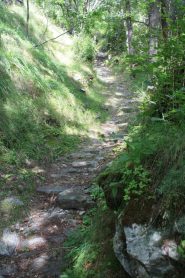 ...SE SI VUOLE SCENDERE IL SENTIERO DA LA MAGDALEINE ALLA FRAZIONE DI HERIN LO SI PUO' FARE TUTTO IN SELLA...