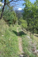 ...IL SENTIERO CHE SALE A LA MAGDALEINE E' PEDALABILE SOLO A TRATTI...