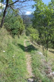 ...IL SENTIERO CHE SALE A LA MAGDALEINE E' PEDALABILE SOLO A TRATTI...