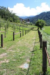 ...IL VECCHIO SENTIERO CHE SALE AL BORGO DI ANTEY...