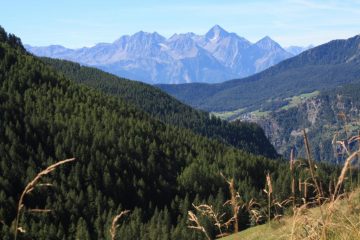 ...LASCIATE LE FRAZIONI ALTE DI CHAMOIS UNO SGUARDO AI BOSCHI DELLA VALTOURNANCHE...
