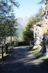 ...LUNGO LA PODERALE PER CHAMOIS ALCUNI TRATTI SINUOSI CONSIGLIANO ALLE BICICLETTE DI PROCEDERE CON MOLTA CAUTELA...NON SIAMO DA SOLI...