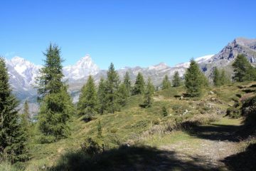 ...VERSO LA FRAZIONE DI CHENEIL, LA PRIMA META' DEL PERCORSO, E' UN LARGO SENTIERO CARATTERIZZATO DA UNO SPETTACOLARE SALISCENDI VELOCE...