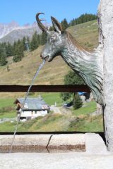 ...IN FRAZIONE CREPIN TROVIAMO L' ACQUA AD UNA DELLE PARTICOLARI FONTANE DI CHAMOIS...