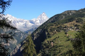 ...LUNGO LA PODERALE PER CHAMOIS, TRA LE PIANTE, SI SCORGONO L' ABITATO, I PILASTRI DELLA FUNIVIA ED IL CERVINO...