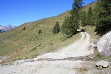 ...SOPRA CHAMOIS, OLTRE I DUEMILA METRI D' ALTITUDINE, TROVIAMO LE PRIME PRATERIE DI MONTAGNA...