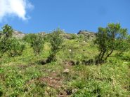 il ripido sentiero in salita