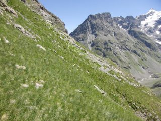 Il pendio erboso da attraversare