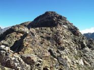 parte terminale della cresta