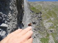 Sosta in compagnia...