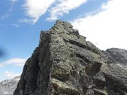 placconate anche per raggiungere la stura