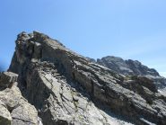 le belle placconate della noci