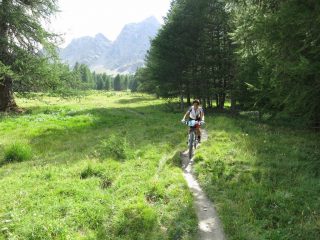Fine discesa sullo sfondo canale sciistico 