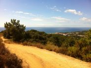 Verso Arenys