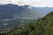 scendendo tra le vigne