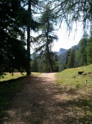 in salita (la pendenza non rende in foto)