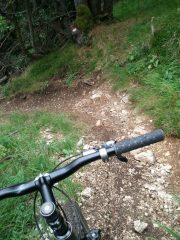 sentiero nel bosco