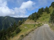 Traverso alle pendici di Rocca dell'Abisso