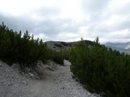 in costa dopo mont Agnellino