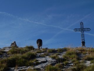 Pucci conquista la vetta