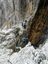 ponticello