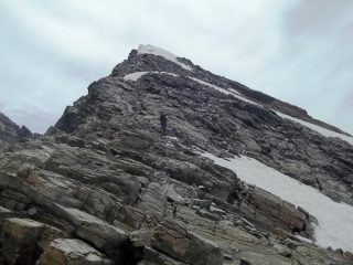 cresta della becca bianca