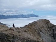 verso la Tricuspide