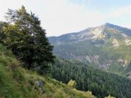 Tignolino visto da Alpe Roi