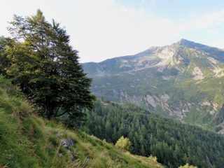 Tignolino visto da Alpe Roi